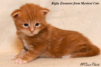    Rigby Eleanore 2 