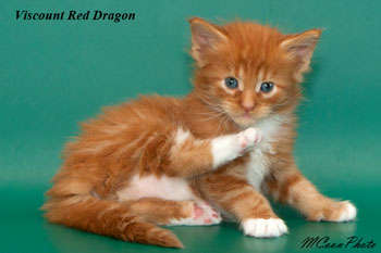    Red Dragon 1 