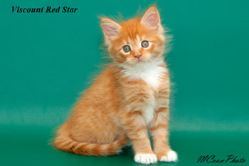    Red Star 1,5 